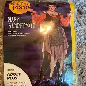Hocus Pocus Costume